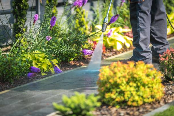 Best Animal Enclosure Cleaning  in Thunderbolt, GA