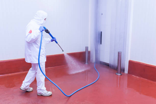 Thunderbolt, GA Pressure Washing Services Company